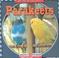 Cover of: Parakeets (Let's Read About Pets)