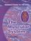 Cover of: The Muscular System