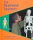 Cover of: The Skeletal System (Pebble Books)