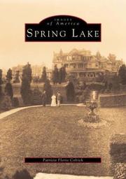 Cover of: Spring  Lake | Patricia  Florio  Colrick