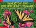 Cover of: Where Did the Butterfly Get Its Name