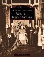Cover of: A Journey Through Boston's Irish History