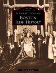 Cover of: A Journey Through Boston's Irish History by Dennis P. Ryan