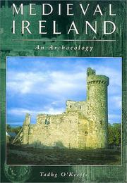 Cover of: Medieval Ireland by Tadhg O'Keeffe