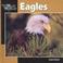 Cover of: Eagles