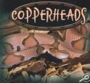 Cover of: Copperheads (Amazing Snakes Discovery Library) by Ted O'Hare