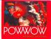 Cover of: Powwow