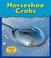 Cover of: Horseshoe Crabs