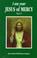 Cover of: I Am Your Jesus of Mercy (I Am Your Jesus of Mercy Series , Vol 4)