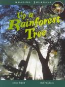 Cover of: Up a Rainforest Tree (Amazing Journeys)