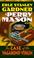 Cover of: Case of the Vagabond Virgin (Perry Mason Mysteries (Fawcett Books))