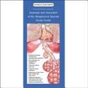 Cover of: Illustrated Pocket Anatomy: Respiratory System And Disorders Study Guide | Anatomical Chart Company
