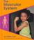Cover of: The Muscular System (Pebble Books)