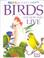 Cover of: Birds and How They Live (See & Explore)