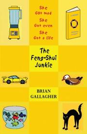 Cover of: The Feng Shui Junkie | Brian Gallagher