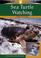 Cover of: Sea Turtle Watching (Bair, Diane. Wildlife Watching.)