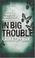 Cover of: In Big Trouble (A Tess Monaghan Investigation)