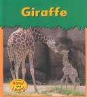 Cover of: Giraffe