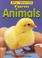 Cover of: Farm Animals (My World)