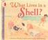 Cover of: What Lives in a Shell?