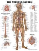 Cover of: The Nervous System Anatomical Chart