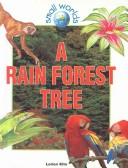 Cover of: Rain Forest Tree (Small Worlds) by Lorien Kite