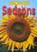Cover of: Seasons (My World)