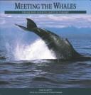 Cover of: Meeting the whales: the Equinox guide to the giants of the deep.
