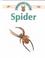 Cover of: Spider (Observing Nature)