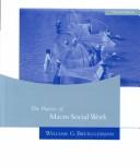 Cover of: The Practice of Macro Social Work by William G. Brueggemann
