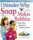Cover of: I Wonder Why Soap Makes Bubbles and Other Questions About Science (I Wonder Why)