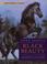 Cover of: Black Beauty (Kingfisher Classics)