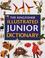 Cover of: The Kingfisher illustrated junior dictionary