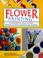 Cover of: Flower Painting