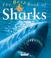 Cover of: The Best Book of Sharks (The Best Book of)