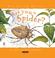 Cover of: Homeschool Nature Study: Insects
