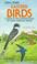 Cover of: Eastern Birds