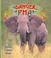Cover of: Endangered Elephants