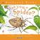 Cover of: Are you a Spider? (Backyard Books)