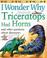 Cover of: I Wonder Why Triceratops Had Horns