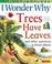 Cover of: I Wonder Why Trees Have Leaves