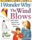 Cover of: I Wonder Why the Wind Blows