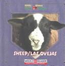 Cover of: Sheep by JoAnn Early Macken