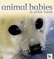 Cover of: Animal Babies in  Polar Lands (Animal Babies) by Houghton Mifflin Editorial