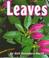 Cover of: Leaves (Growing Flowers)