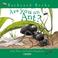 Cover of: Are you an Ant? (Backyard Books)