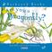 Cover of: Are you a Dragonfly? (Backyard Books)