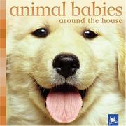Cover of: Animal Babies Around the House (Animal Babies)