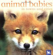 Cover of: Animal Babies In Towns and Cities (Animal Babies) by Editors of Kingfisher, Editors of Kingfisher