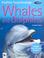 Cover of: Whales and Dolphins (Kingfisher Young Knowledge)